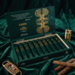 Cigar Boxes